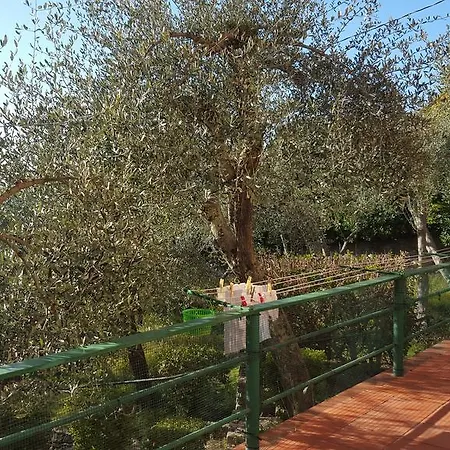 Casa Vacanze Olivi E Mare Ferienhaus Tellaro